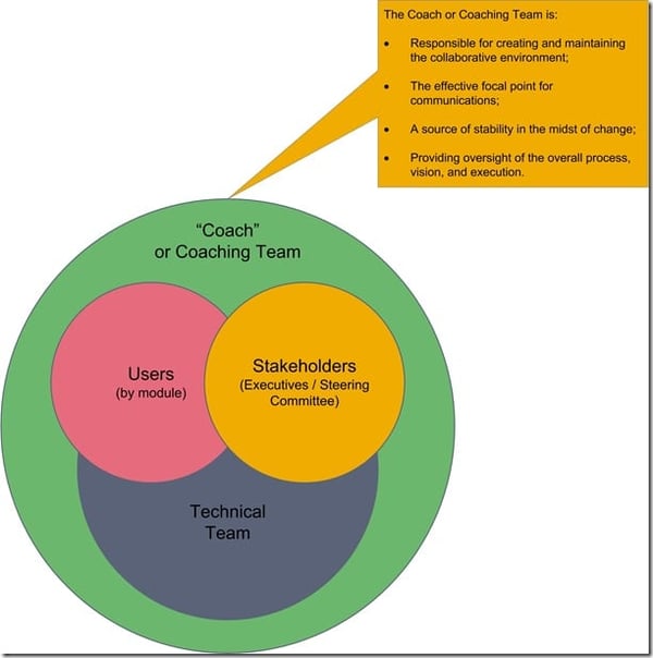 Consultant’s Role on IT Projects