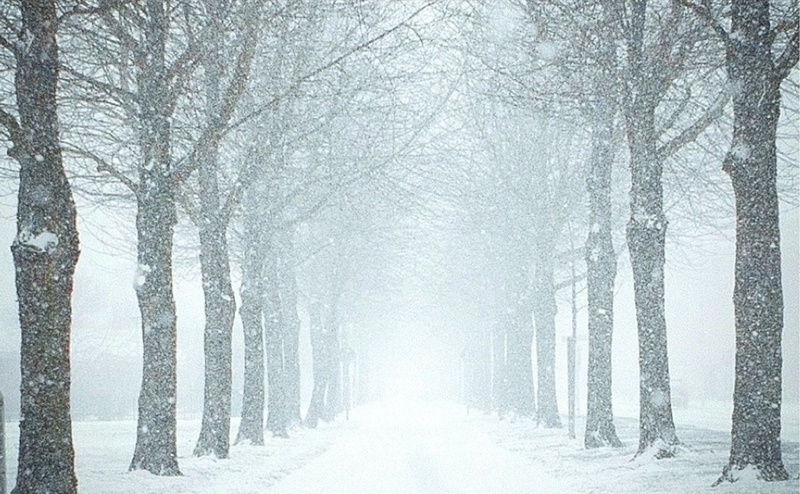 Winter may be coming, but it doesn't have to be tumultuous for professional services organizations.