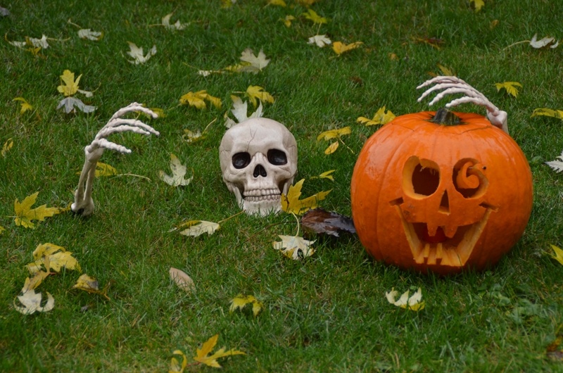 Are your spreadsheets haunting your productivity?