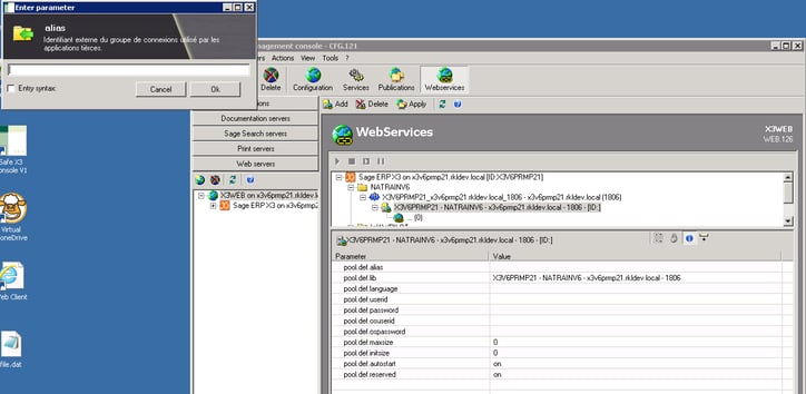 Sage X3 Web Services Enter Parameter Screen