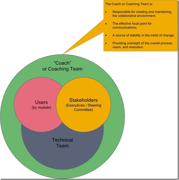 Consultant’s Role on IT Projects