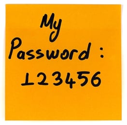Password sticky