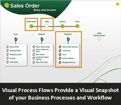 Visual Process Flows