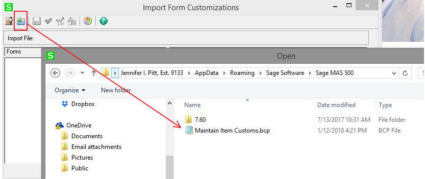 Sage 500 Import Form Customizations