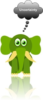 Uncertainty - elephant