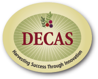 Decas Products Logo