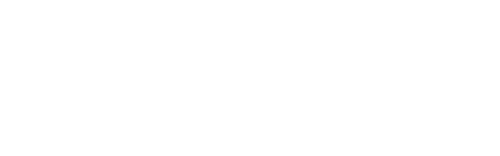 MartusSolutionsPartner_white