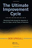 The Ultimate Improvement Cycle